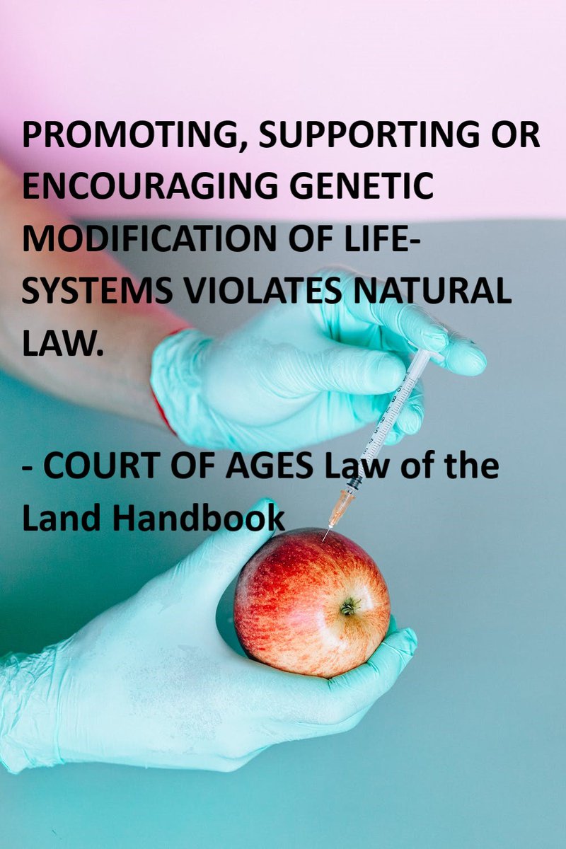 Illumin8tion21's tweet image. #NaturalLaw #LawoftheLandHandbook #Codified courtofages.weebly.com #HeirsofCreation #CourtofAges #HeirshipEconomy #w4nl
