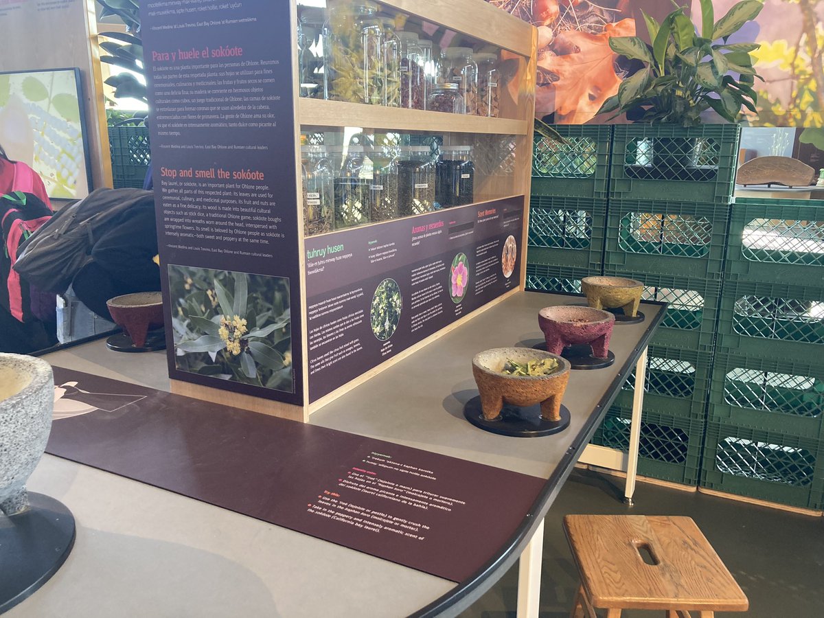 Jeffrey Zheng tweet media