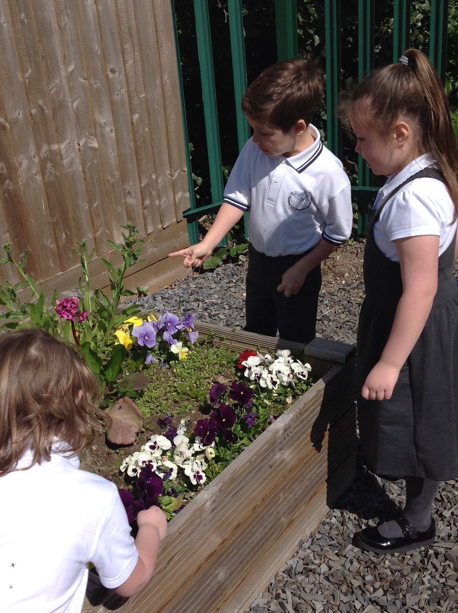 Miss Lenton tweet media