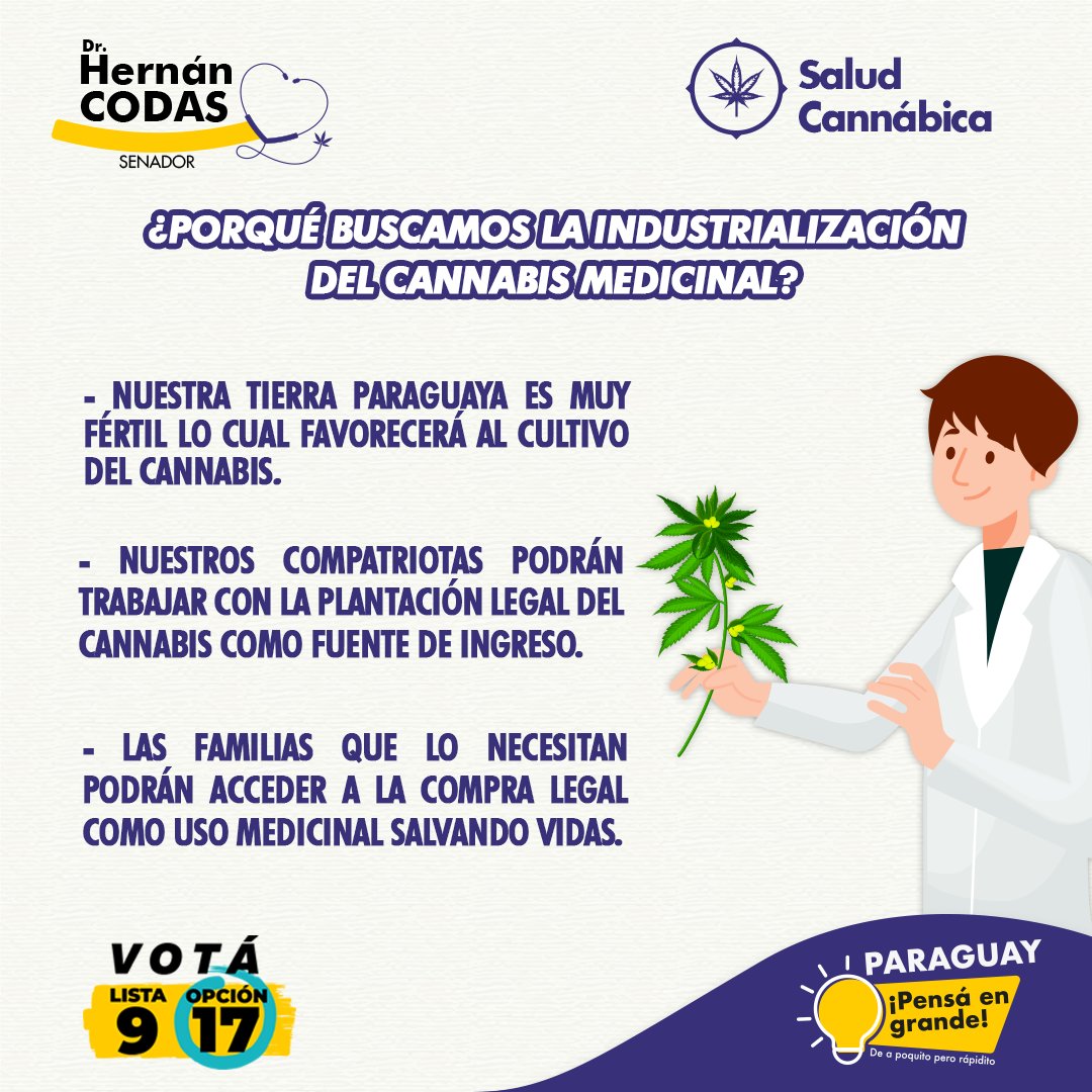 CodasHernan's tweet photo. Con la industrialización del Cannabis miles de familias agrícolas podrán verse beneficiadas. 🌱

➡️El cultivo de cannabis podrá ser fuente de empleo que significará un crecimiento económico para el país. 
#CannabisMedicinal #CodasSenador https://t.co/jdTYHH8Wdm