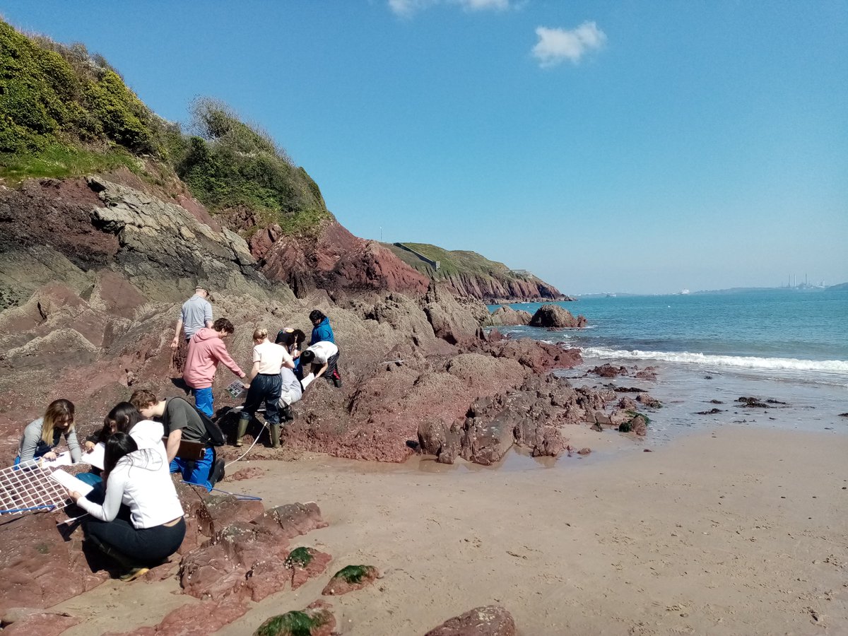dalefortcentre's tweet photo. A lovely afternoon looking at biodiversity on Castle Beach and sampling techniques on our fields here at Dale Fort with IB biology students from Westbourne. What a great start to the course! 😎#pembrokeshire #samplingtechniques #IBBiology #ecology #biodiversity https://t.co/qLM5QIxfKQ
