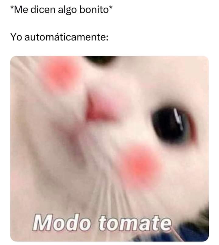 ✨