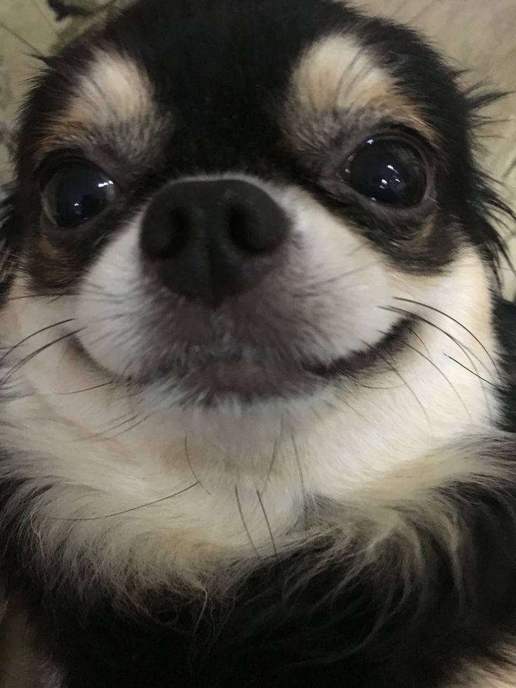 twaniimals's tweet photo. https://t.co/ZkSuuqnXG7