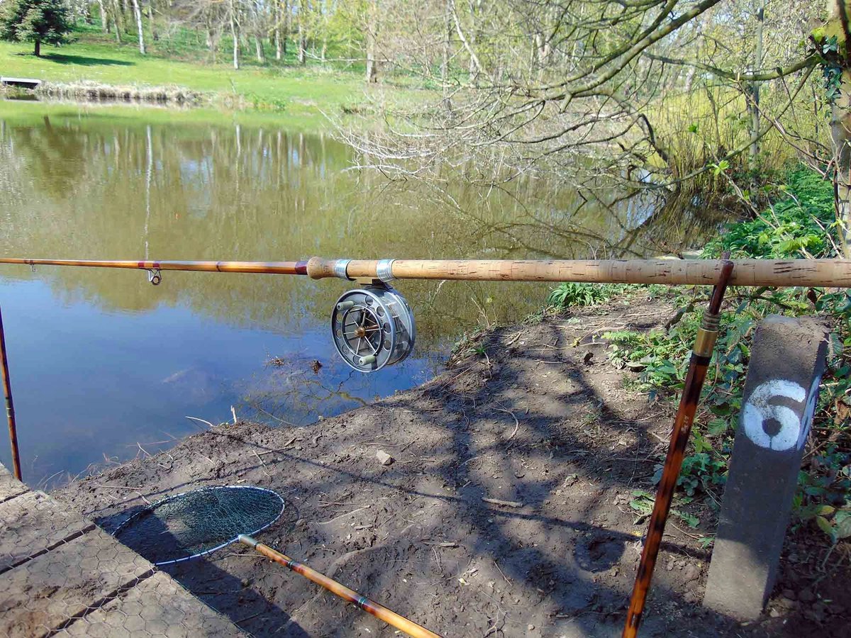 AnglingHall's tweet photo. Traditional #fisihng at the pond today. Great catches of Bream, with one or two of the big ones showing up. A few Roach and a couple of Glorious Tench. With only a couple of weeks remaining before the pond closes for the Month of May, get out there now and enjoy! https://t.co/SYNuAkDZUs