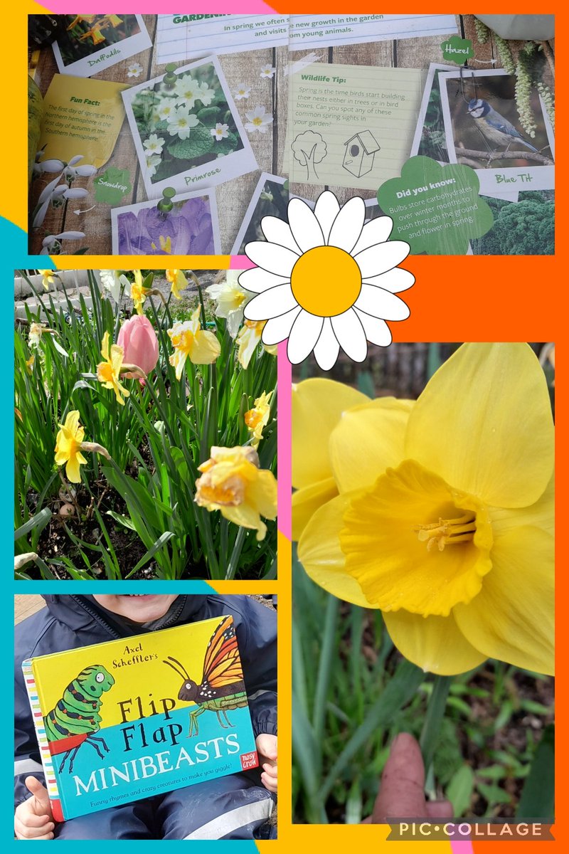 Suzieq1402's tweet photo. Lovely warm afternoon with #fareplaynursery at @FARE_Scotland LCA. Planted sugarsnap &amp; peas
,watered veggies under wee  greenhouse, mini beast storytime, bughunting, paint what you see. Used @RHSSchools Spring Chart . @Jimmy_FARE @LeniFare https://t.co/RfEMRzvkvp