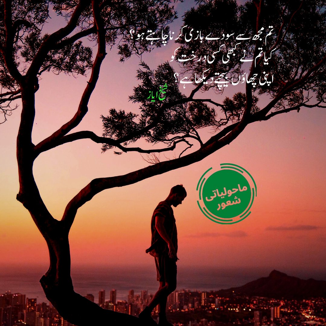 EnvironmentUrdu's tweet photo. تم کو خبر نہیں خلاء کے مسافرو
ذرے میری زمیں کے بھی مہر و مہ تھے
(سعید وارثی)
#TreeTuesday #treeweek2023 
@TalpurTaimur
@akhtarb1 @FarzanaAlee @TaniaPalijo @Abdullah_9316 @UstadrahiS @ArdoUtraadi @FearlessWolfess @Marvi_S90 @asifullahkhan62 @BalochHafeez201 @BGranaa @DeTrop_ https://t.co/YdLttcTY6L