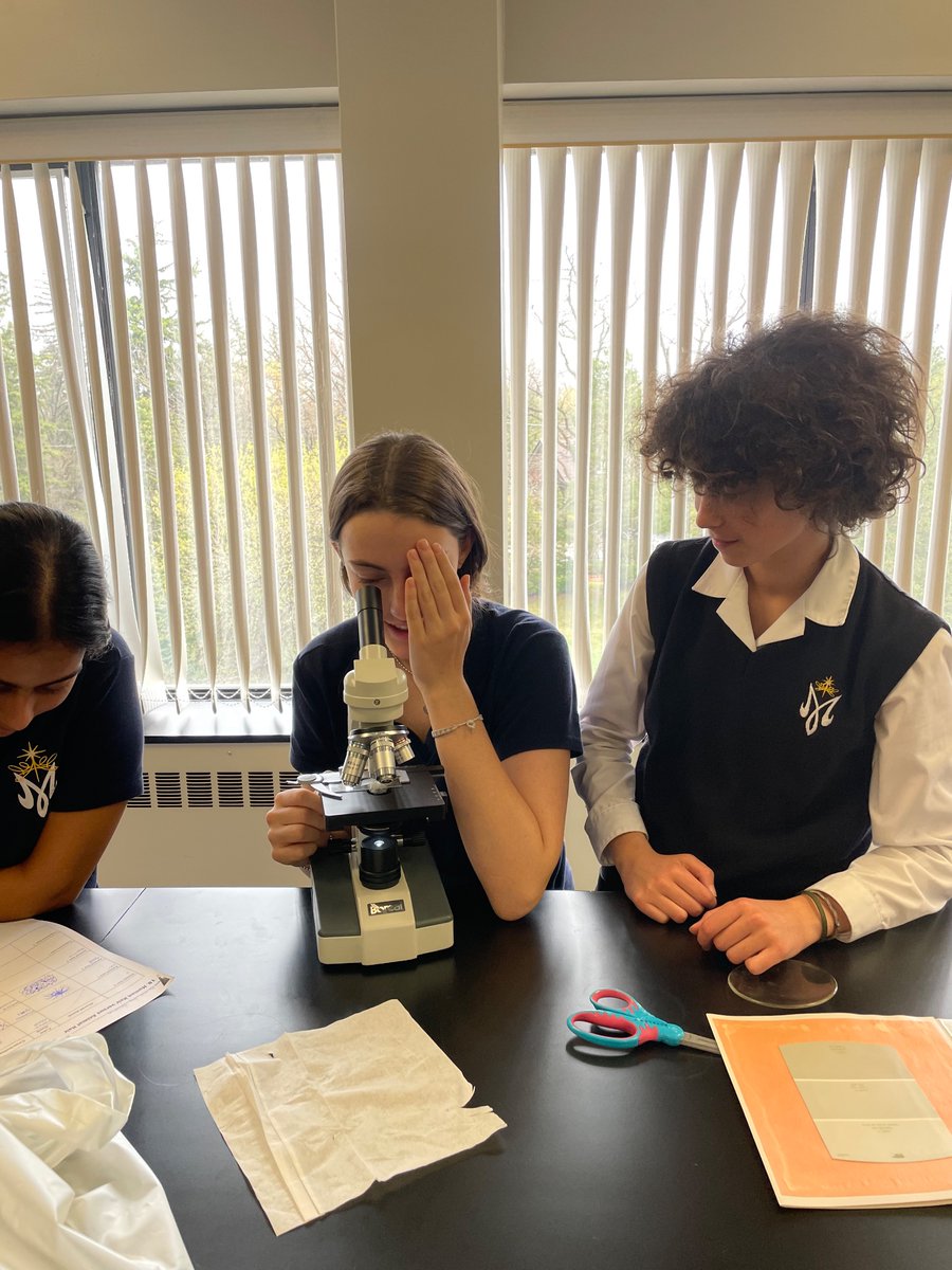 MsENicoletti's tweet photo. Forensics students viewing different hair specimens under microscope! @HNMCS @MsENicoletti https://t.co/jT2Z3M9Y5p