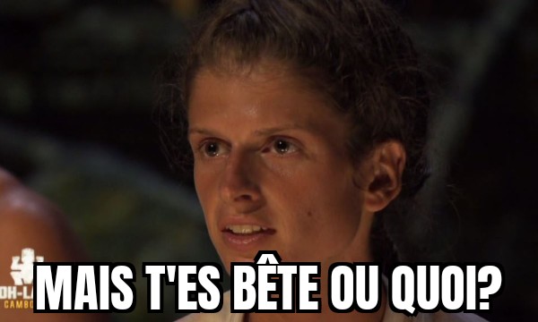 Le Twittem d'immunité tweet media