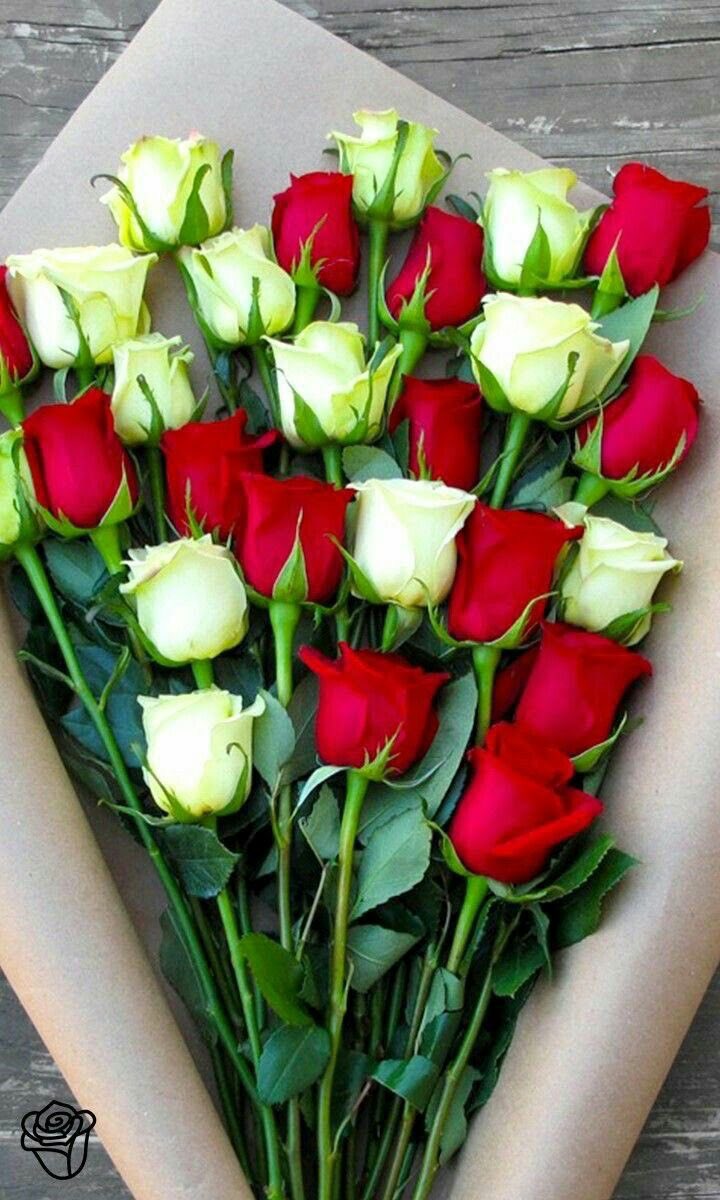 Richard85282251's tweet photo. @NevisMariscal https://t.co/BjhaOxw9Ge