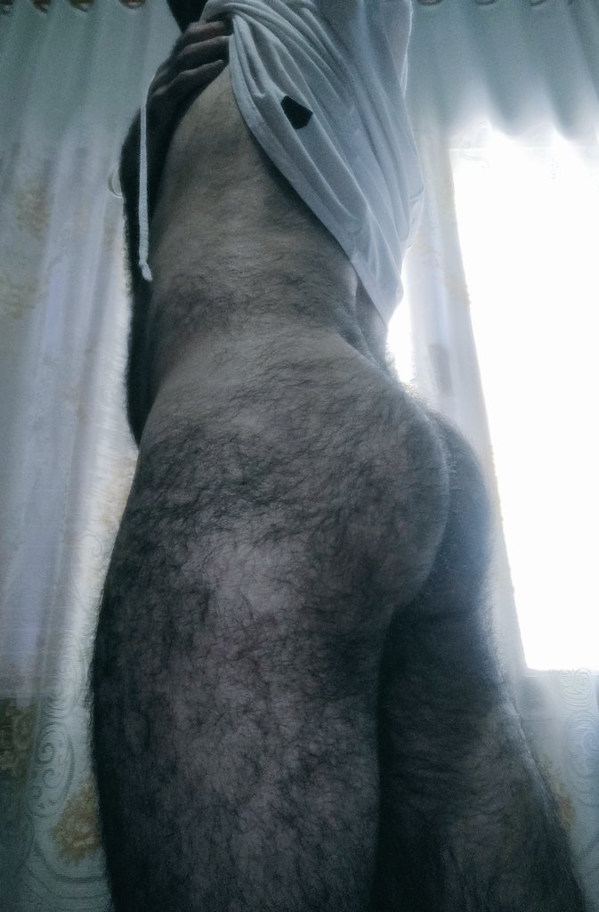 Pampa Yosef tweet media