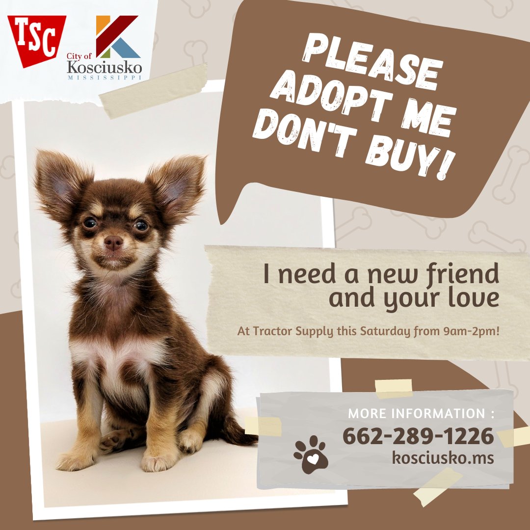 City of Kosciusko tweet media