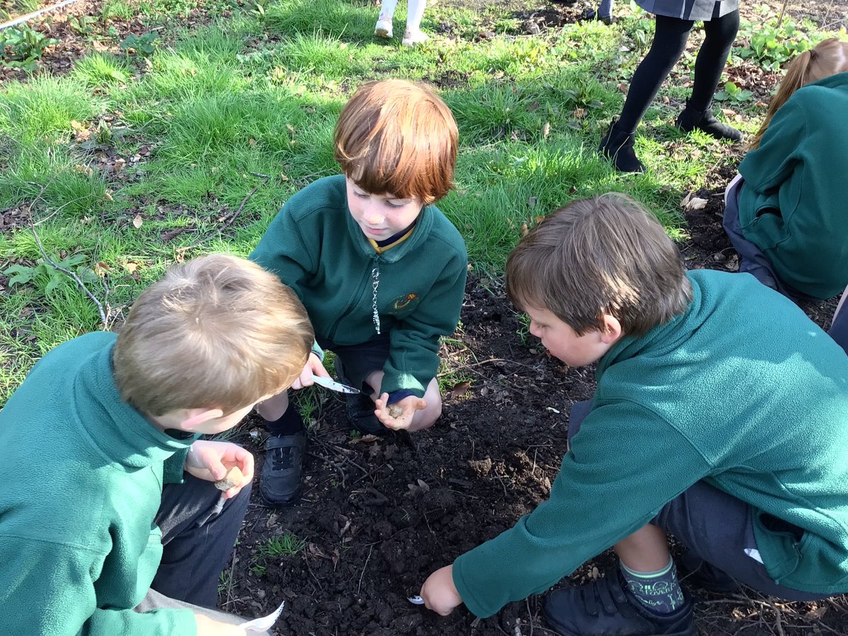 St Stephens Primary tweet media