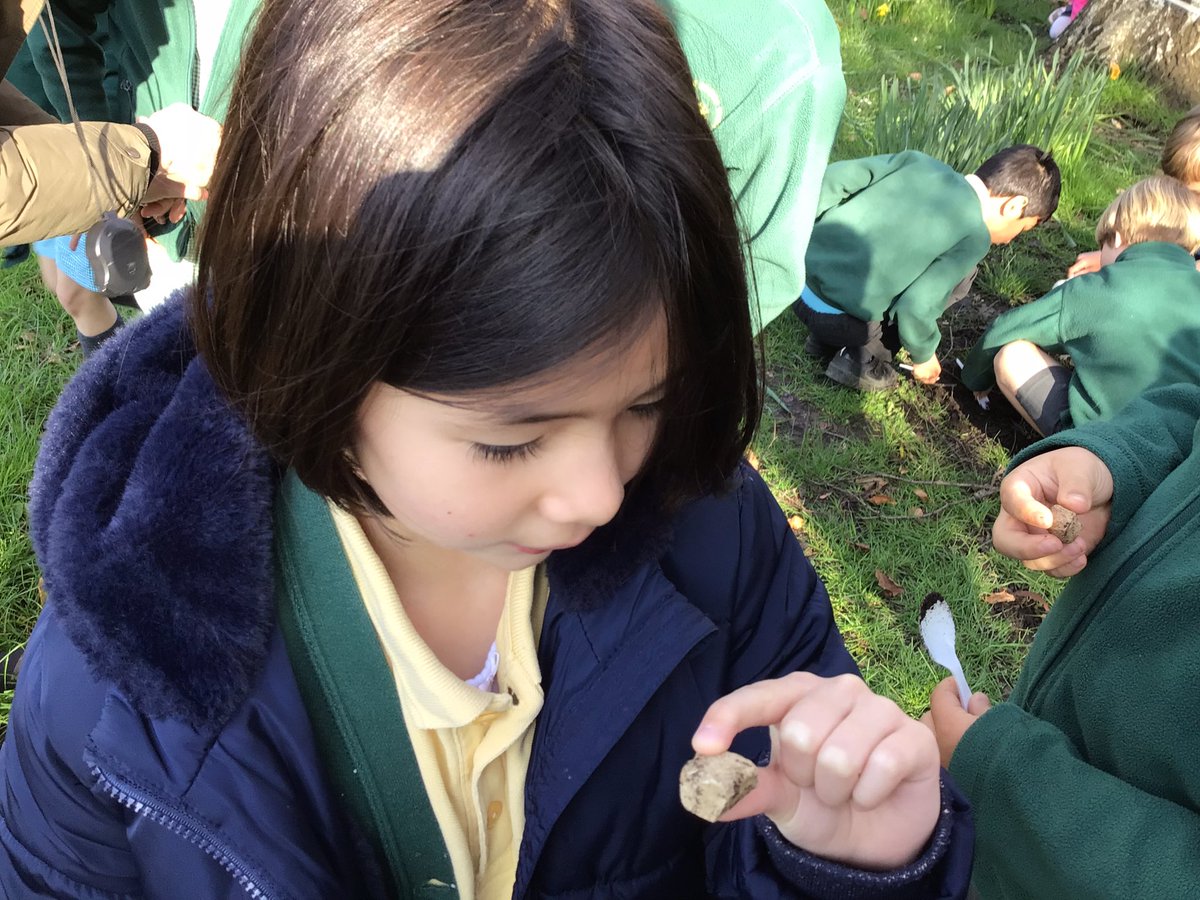 St Stephens Primary tweet media