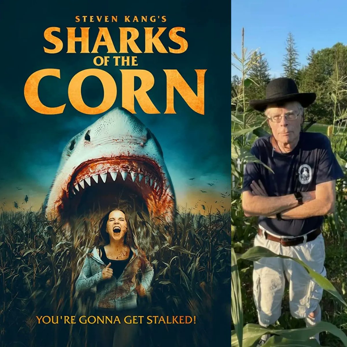 HorrorDepot1's tweet photo. It's time for that Stephen Kang banger from 2021 Sharks of the Corn!!
This movie has it all: a cult, sharks, and corn violence. @timrittermovies is a goddamn genius! If you haven't seen this you should!
#shark #sharksofthecorn #stephenking #cult #corn #cornfield #timritter https://t.co/fm7y9CfwZQ