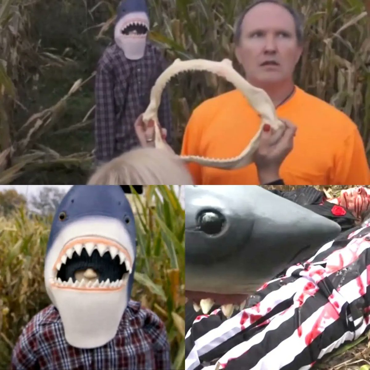 HorrorDepot1's tweet photo. It's time for that Stephen Kang banger from 2021 Sharks of the Corn!!
This movie has it all: a cult, sharks, and corn violence. @timrittermovies is a goddamn genius! If you haven't seen this you should!
#shark #sharksofthecorn #stephenking #cult #corn #cornfield #timritter https://t.co/fm7y9CfwZQ