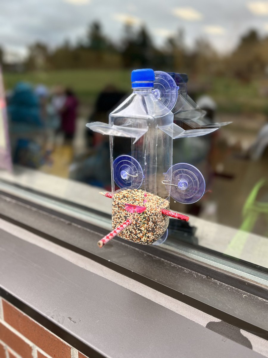 mrstepien's tweet photo. We’re all about learning about our local animals, and with spring here we’re focusing on local birds. Our inquiry has lead us to designing a stable, and very cool looking bird feeder! @PlowmansPS2016 #PlowmansEML #Grade1 #PeelEML https://t.co/wUNIvzRnNG