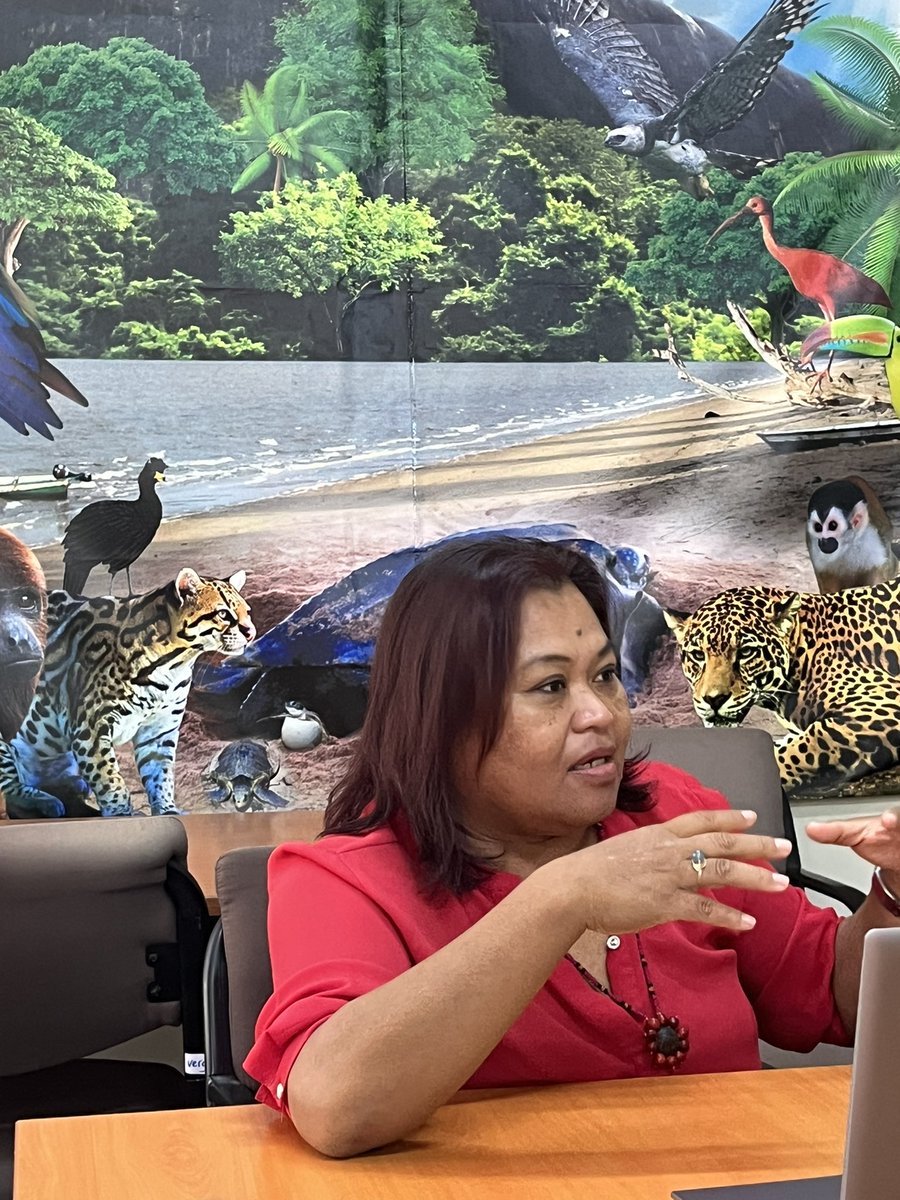 SofieHF's tweet photo. #CITES Secretariat meeting with Minister for land policy and forest management, Ms Dinotha Vorswijk who expressed strong commitment to Convention, to combatting illegal trade and to the Compliance Assistance Programme (CAP). https://t.co/msvepIZjjH