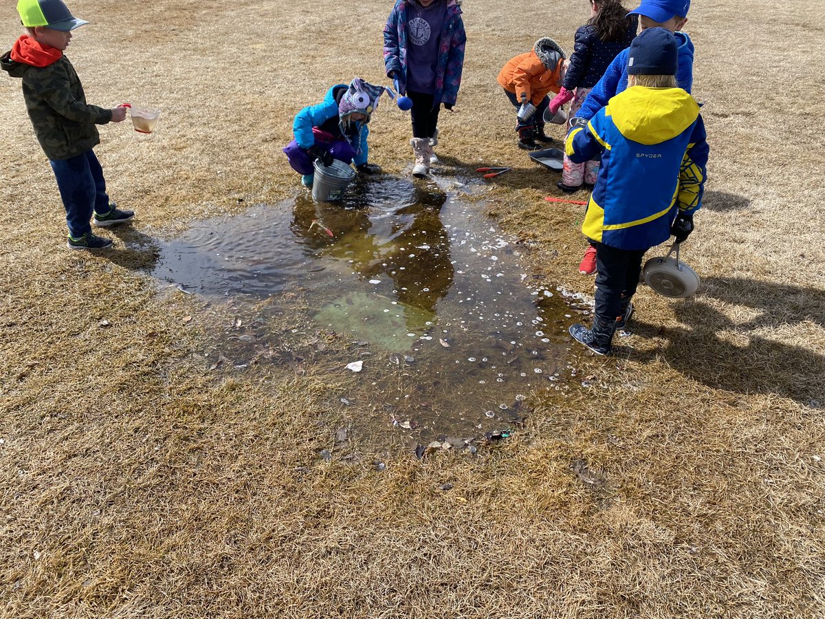 The excitement of puddles!! #playoutside #Kindergarten #rvsed