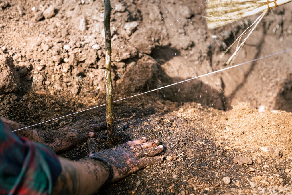 ranchoalmasomos's tweet image. “95% of our food comes from soil - if we have no soil, there will be nothing on the supermarket shelves.” - Jean Poesen KU Leuven University 
Soil health is fundamental to the vitality of our earth, food system and ultimately our survival.⁠ #didyouknow #soilhealth #biodynamics