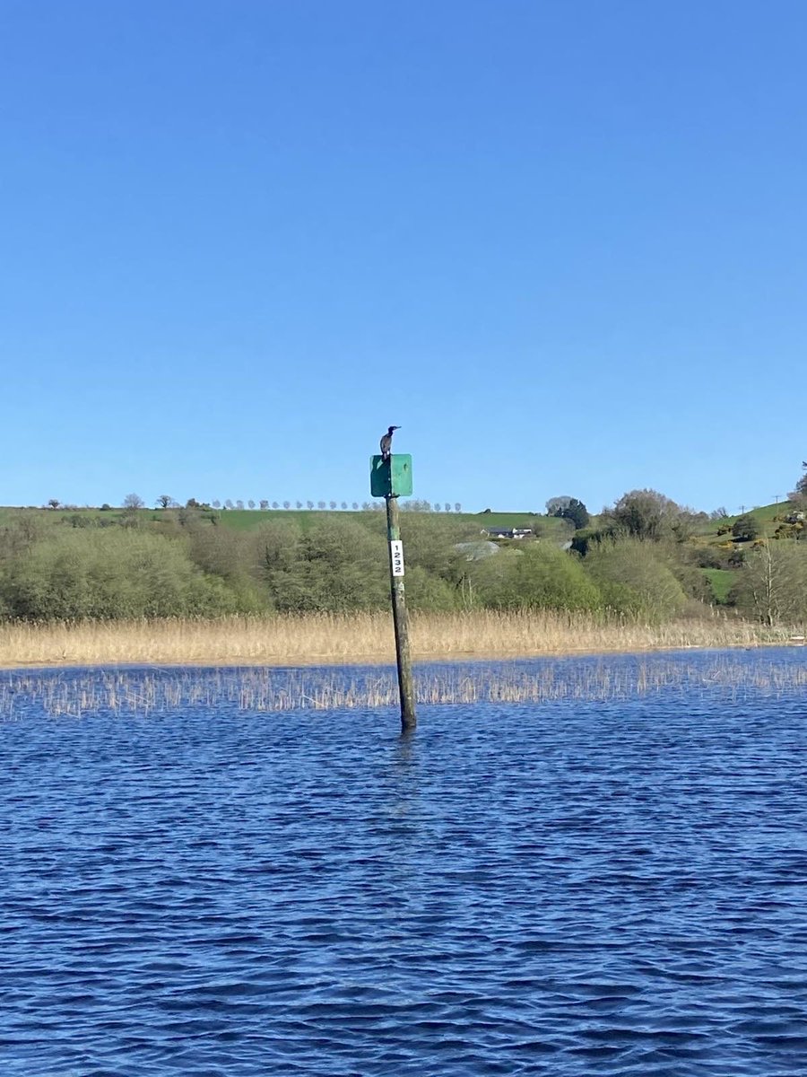 My Next Adventure tweet media