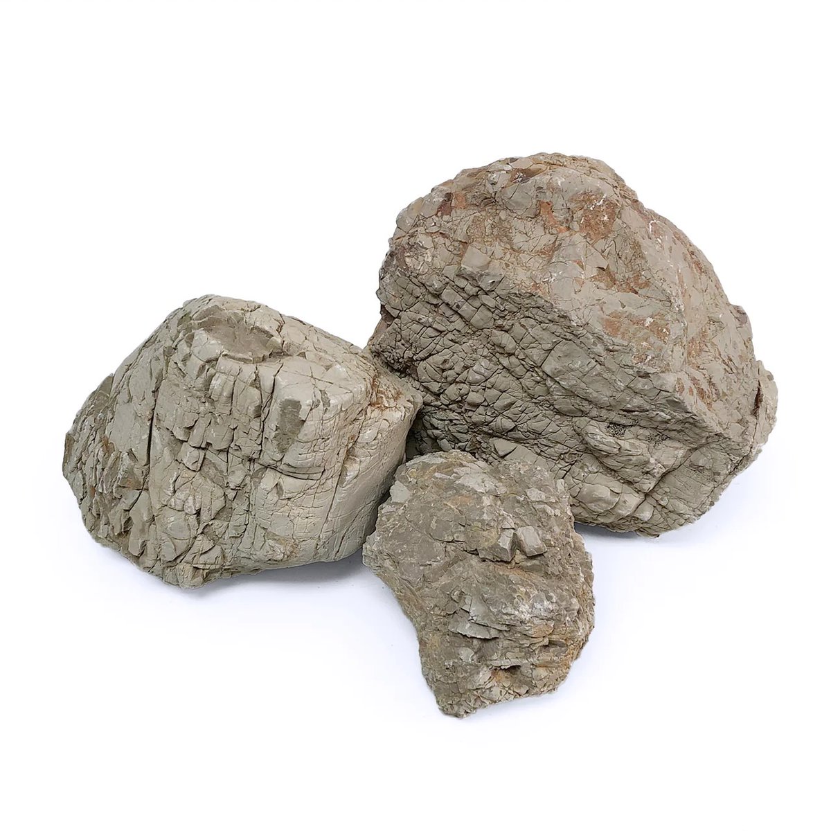 sraqua's tweet photo. Tan Elephant Skin Stone's Origin Story: Thousands of years of weathering &amp; erosion! 🤯

Best Asset: Rough, wrinkled Elephant-like texture! 🐘

Why We Love it: It's an excellent, natural rock for aquascaping! 🗿✨
https://t.co/nF1YbKXBOT 
#aquascaping #rocks #stones #hardscape https://t.co/q8kqRZxZv5