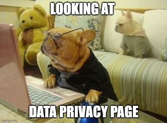DpsRic's tweet photo. #PrivacyPup is working on district data privacy page for easy parent access. The following should be posted: Parent's Bill of Rights, Link to Supplemental Information Page of approved third-party products and services, District Privacy and Policy, & Complaint Procedure. #EdLaw2d https://t.co/mu39ikmYnG