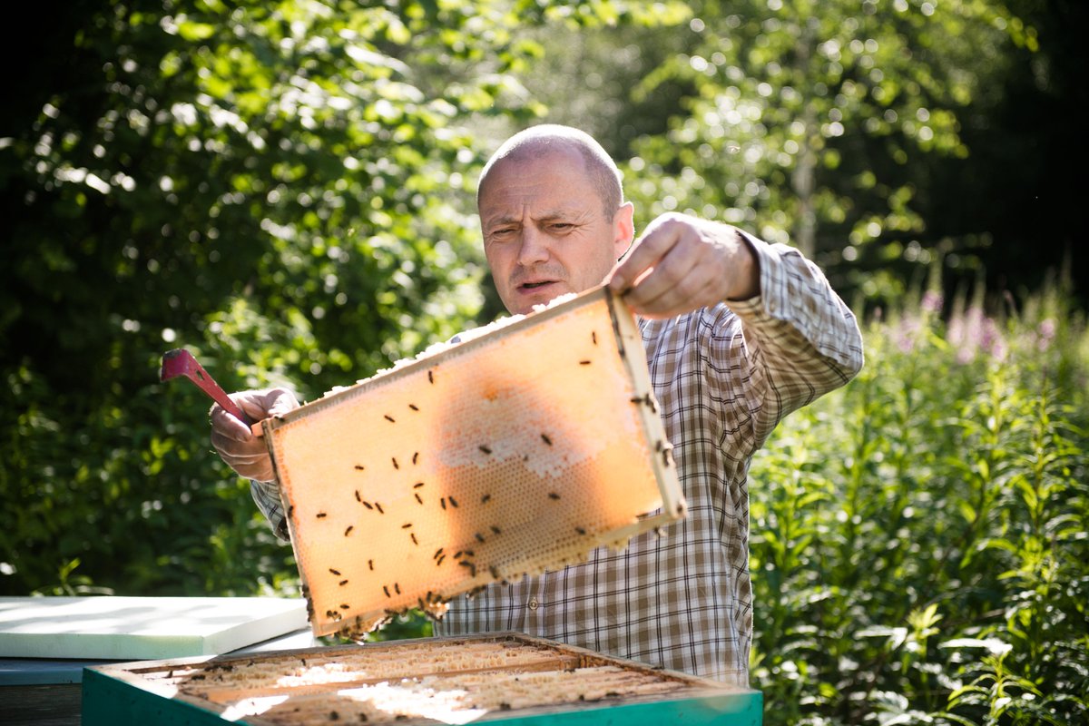 Jauns zīmols produktiem no dabiskajām pļavām! Latvijas Dabas fonds @LDF_lv saņēmis 146 pieteikumus no dabisko pļavu apsaimniekotājiem par dalību Pļavas produktu zīmola izveidē <a href="/LatViaNature/">LIFE-IP LatViaNature</a> ietvaros.
👉latvianature.daba.gov.lv/jaunumi/sanemt…