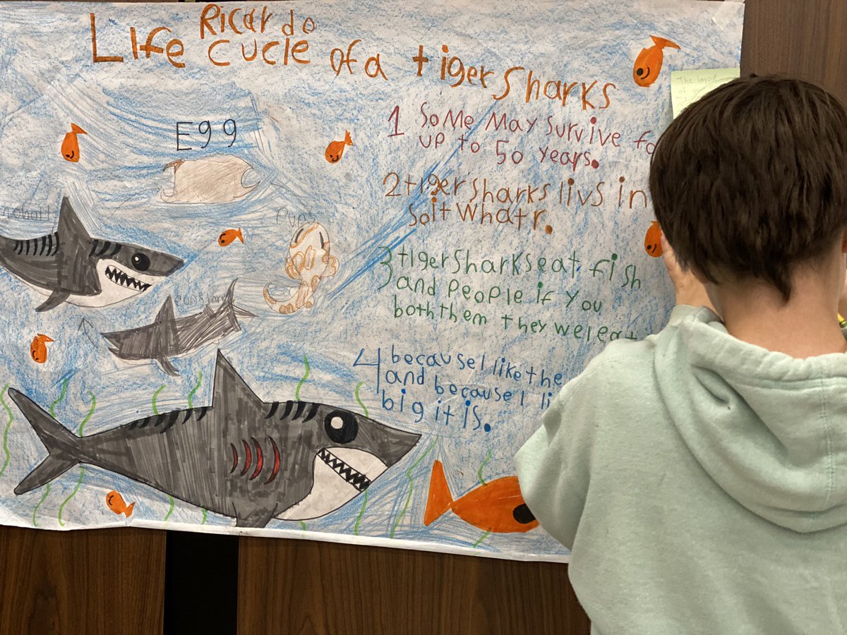 Wendy Rothman (@a2_ib) on Twitter photo PYP 3rd graders at Mitchell complete their study of life cycles and share in a poster session with families. Highlighting IB ATLs: research & communication. Learner profile traits: knowledgeable and inquirer. We're so proud of their work! <a href="/a2mitchell/">Eddie Latour</a> <a href="/A2schools/">A2 Public Schools</a> <a href="/MrC_A2/">Mr. C 🌎</a> PYP 3rd graders at Mitchell complete their study of life cycles and share in a poster session with families. Highlighting IB ATLs: research & communication. Learner profile traits: knowledgeable and inquirer. We're so proud of their work! <a href="/a2mitchell/">Eddie Latour</a> <a href="/A2schools/">A2 Public Schools</a> <a href="/MrC_A2/">Mr. C 🌎</a>