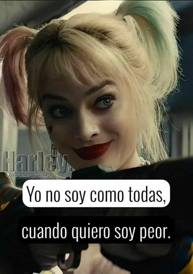 BrisiGarza's tweet photo. Aveces… 🤪
#soypeor #Maipu #crazy https://t.co/64jJp4kOwI