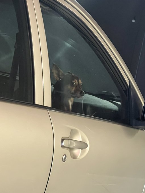 Tinderazi’s pics and videos