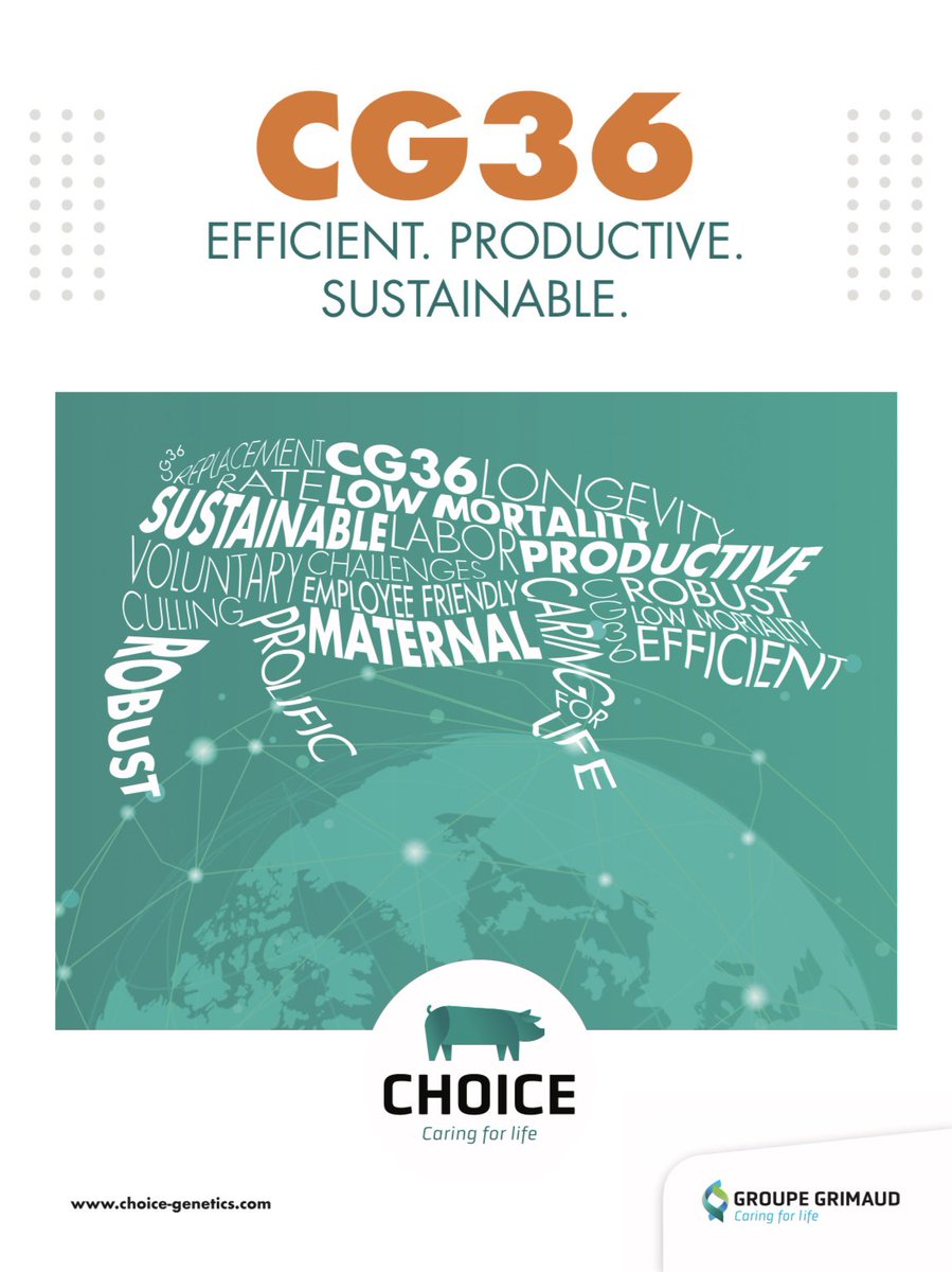 Choice Genetics tweet media