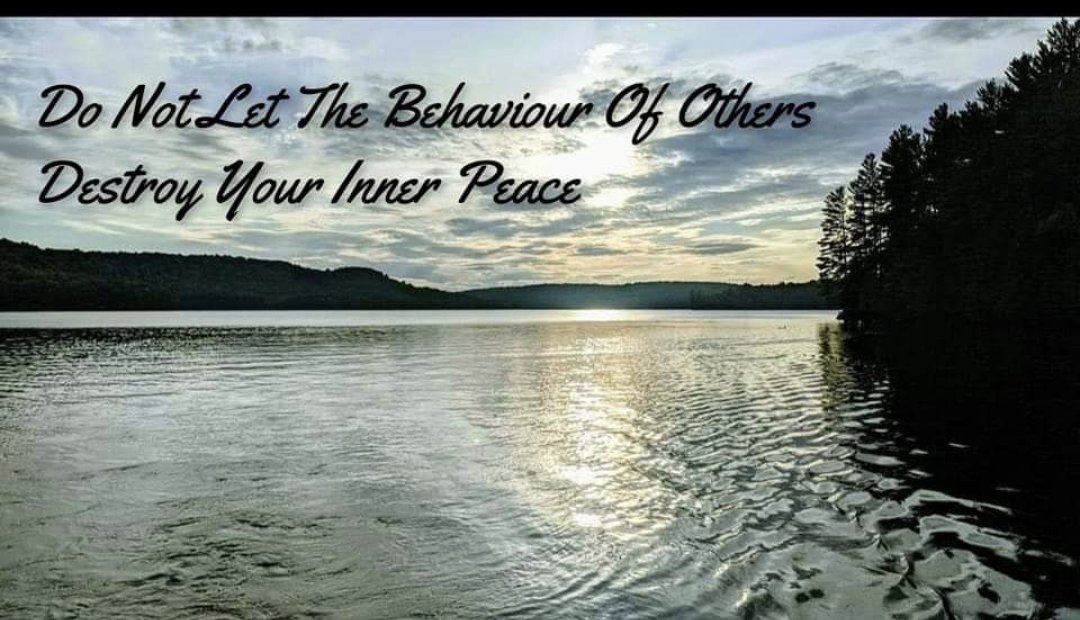 Mike Killingsworth 🇨🇦 tweet media