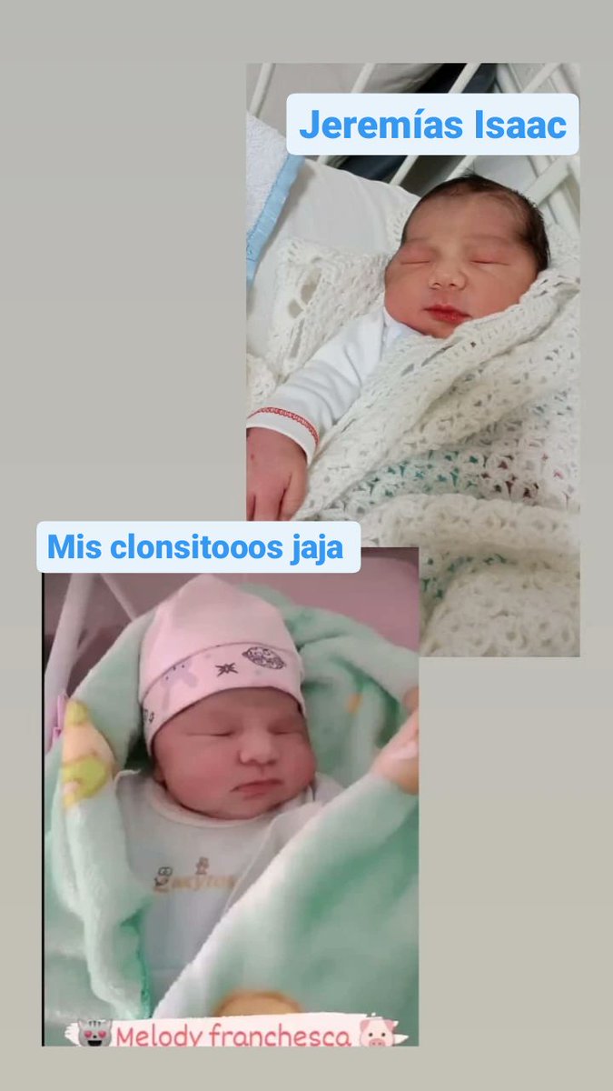 Lu_Ceentral's tweet photo. Mis bebotes 👑 https://t.co/7sPUs0R4V3