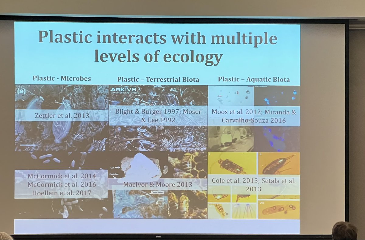 Illinois-Indiana Sea Grant (@ilinseagrant) on Twitter photo At #ECEC23, <a href="/McNeishAqEcoLab/">McNeishAqEcoLab</a> from <a href="/CSUBNSME/">CSUB NSME</a> talked about how #plastic interacts with different levels of ecology affecting ecosystem processes and macroinvertebrate communities. #anthropogeniclitter #PPCPs #microplastics #nanoparticles #emergingcontaminants <a href="/ILextension/">Illinois Extension</a> <a href="/SeaGrant/">NOAA Sea Grant</a> At #ECEC23, <a href="/McNeishAqEcoLab/">McNeishAqEcoLab</a> from <a href="/CSUBNSME/">CSUB NSME</a> talked about how #plastic interacts with different levels of ecology affecting ecosystem processes and macroinvertebrate communities. #anthropogeniclitter #PPCPs #microplastics #nanoparticles #emergingcontaminants <a href="/ILextension/">Illinois Extension</a> <a href="/SeaGrant/">NOAA Sea Grant</a>