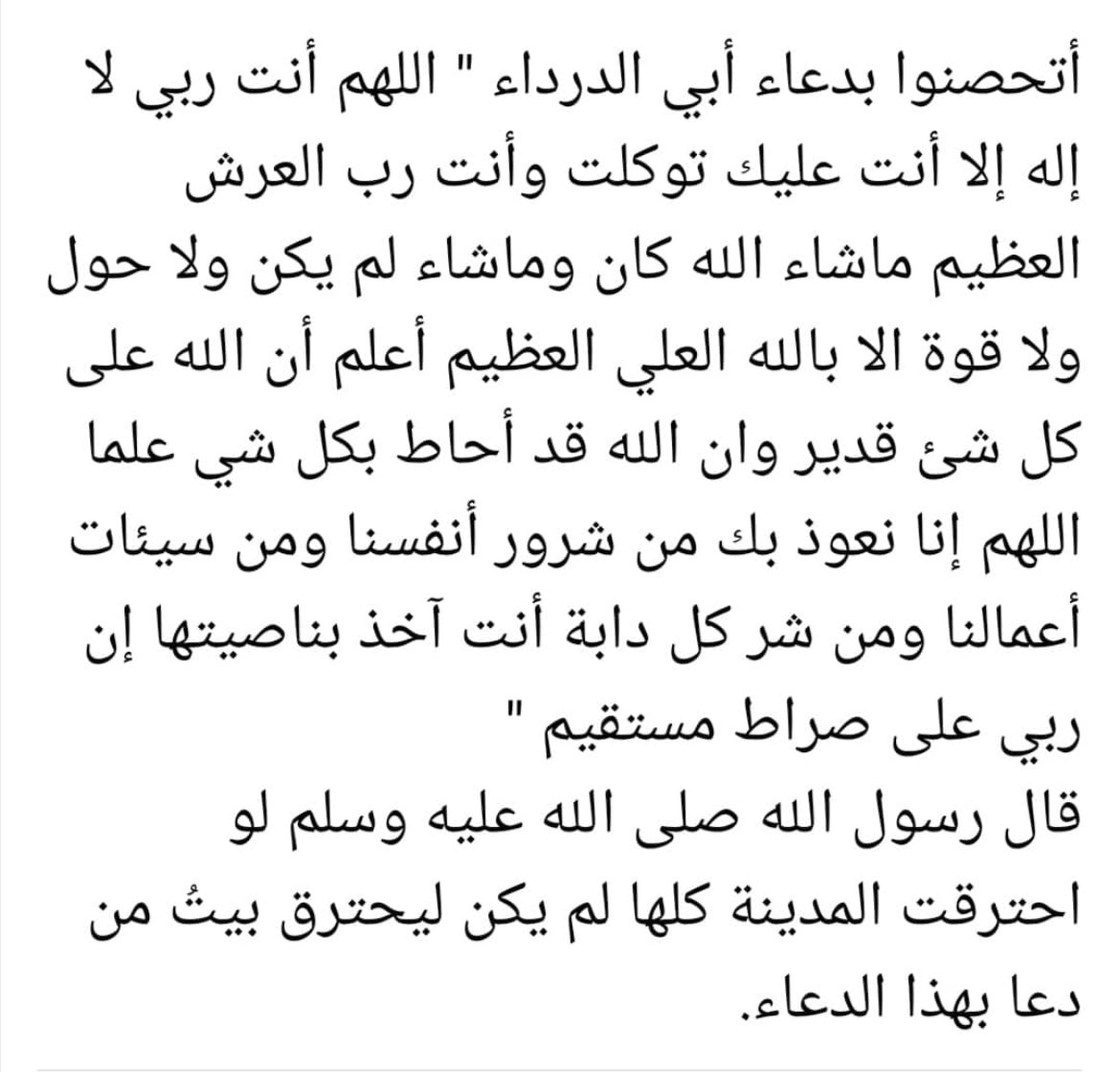 SilverAseel's tweet photo. https://t.co/oGFadFhIan