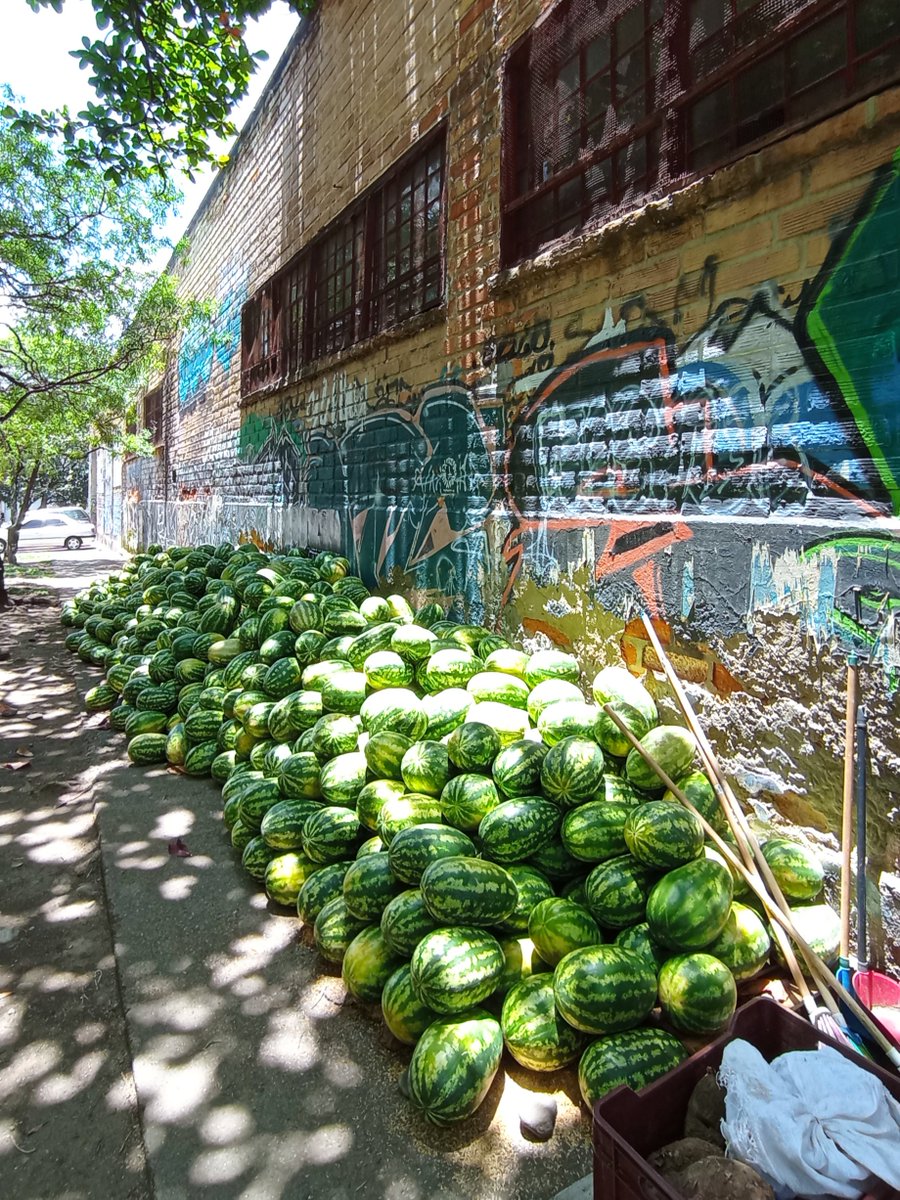 ¡Ayudemos a don Arturo a vender todas estas sandías que trajo desde Majagual, Sucre! 🍉 Llegó el sábado pasado y está noche y día (duerme en su camioncito) en el barrio El Chagualo, calle 55 x cra 55A (Medellín). Sandía grandota a 10-12 mil, jugosas porciones 2 mil. 
¡Roten! 🍉💚