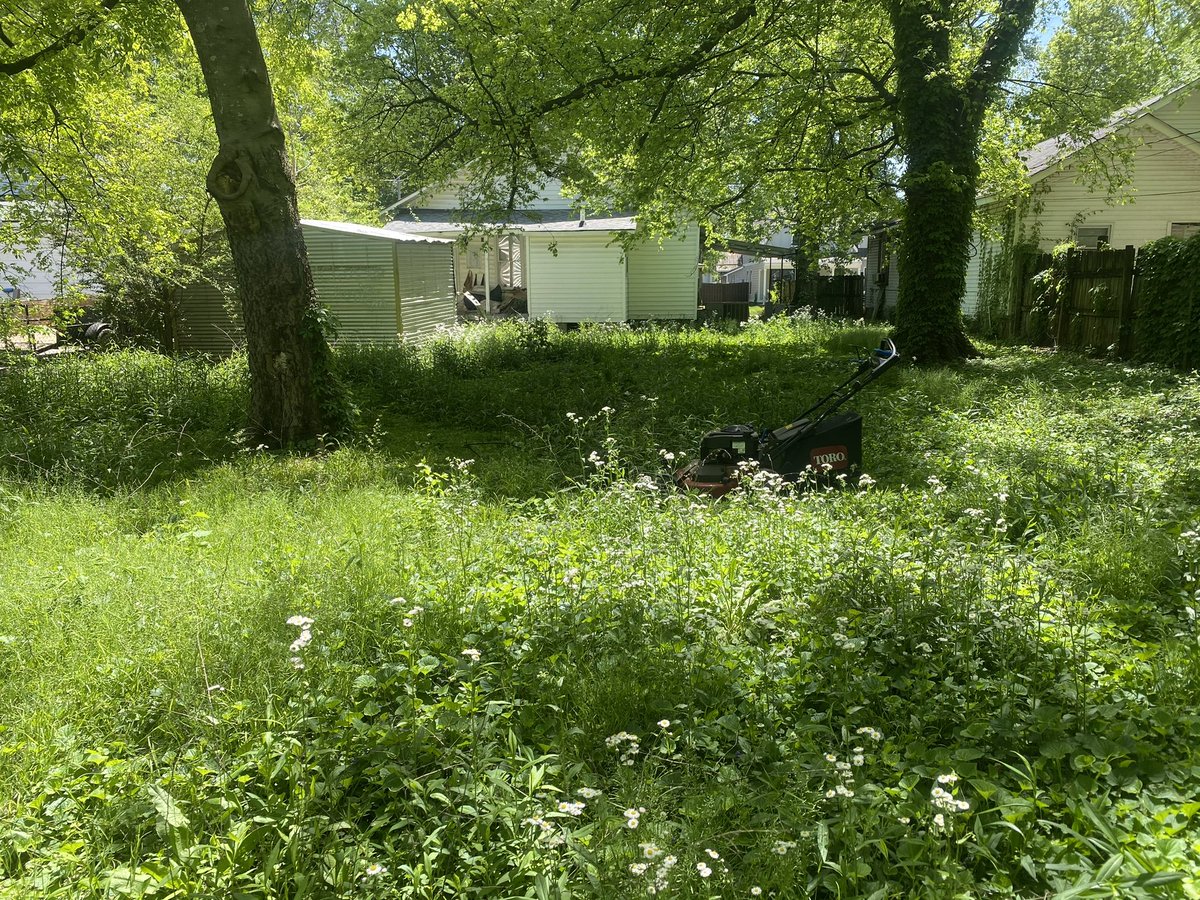 iamrodneysmith's tweet photo. This afternoon I had the pleasure of doing Ms. Mayers lawn . It was great meeting her , so glad I could help her out . Sadly the city gave her a citation about her yard . She no longer has to worry. See you in 2 weeks! https://t.co/FXsZAZySQa