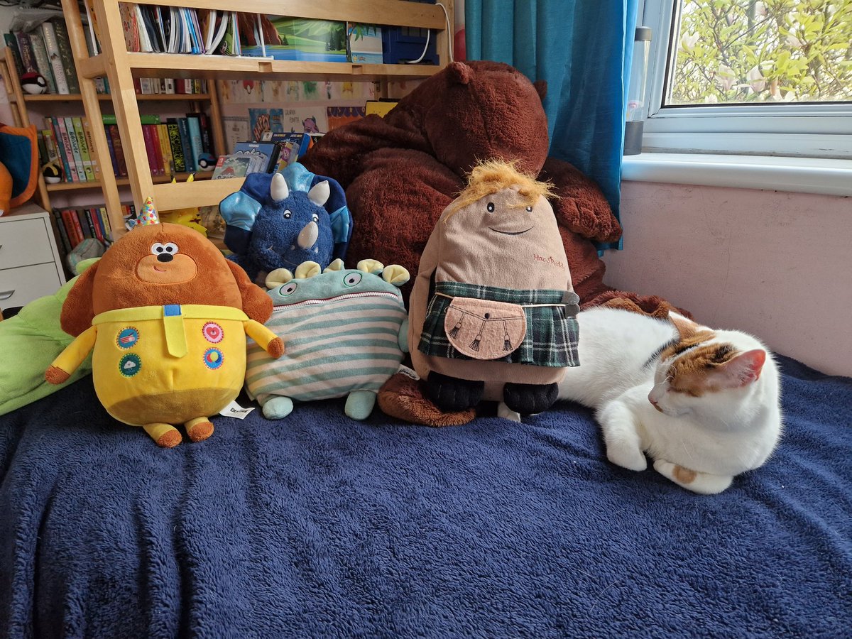 My boy was having a tough day at college so I sent him a pic of his best friend, Mavis, chilling on his bed.
