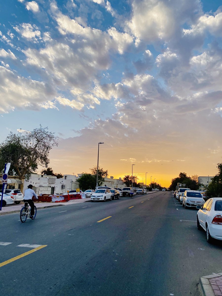 PinkTaxiRunner's tweet image. The earth’s revolution advances a bit more and the scraps of sunlight linger longer under the April sky with its jet trails and icy horsetails #rabbitatrest #johnupdike