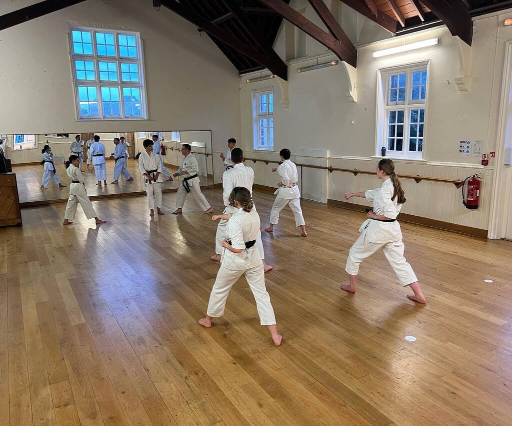 TringShotokan's tweet photo. Higher grades working hard! https://t.co/CMxM5iWmnf https://t.co/lnn58YPviF