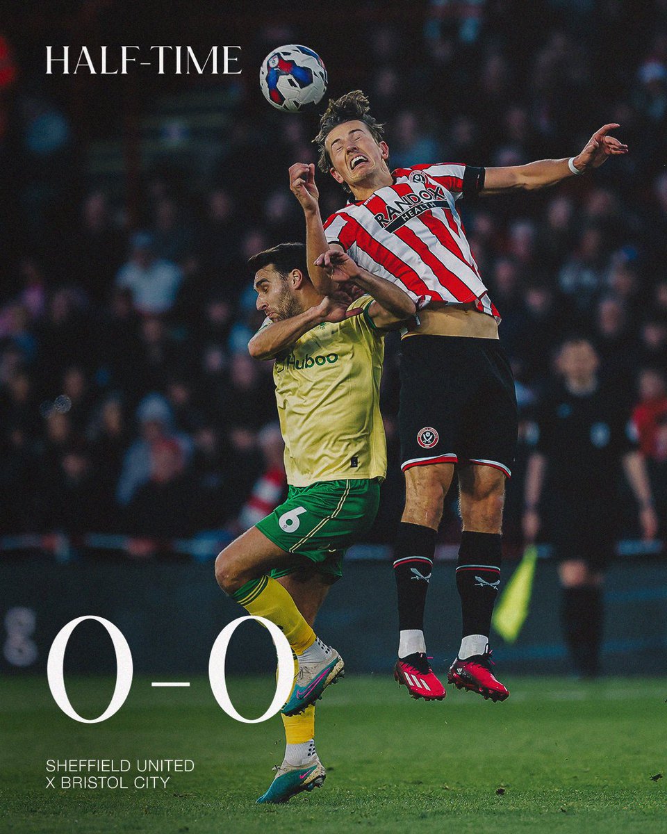 Bristol City FC tweet media