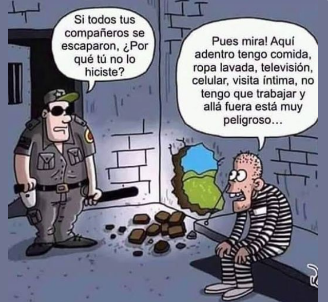 MovimientoFV's tweet photo. La vida de os presos en Venezuela, mantenidos con el dinero del Ciudadano!. https://t.co/U6PXLGDChZ