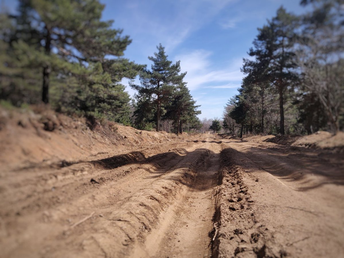 allegaert kristof tweet media