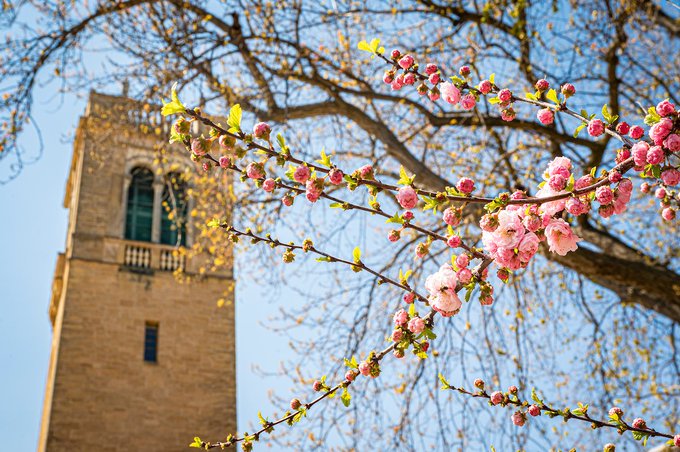 IRP_UW's tweet photo. 📢 IRP is hiring! Please share📢Apply by 5/2. We are looking for a Research Administrator to join our friendly, supportive, and dynamic team in Madison, WI, to provide research administration support to faculty and staff investigators. 1/3 https://t.co/v46y6DSaDs