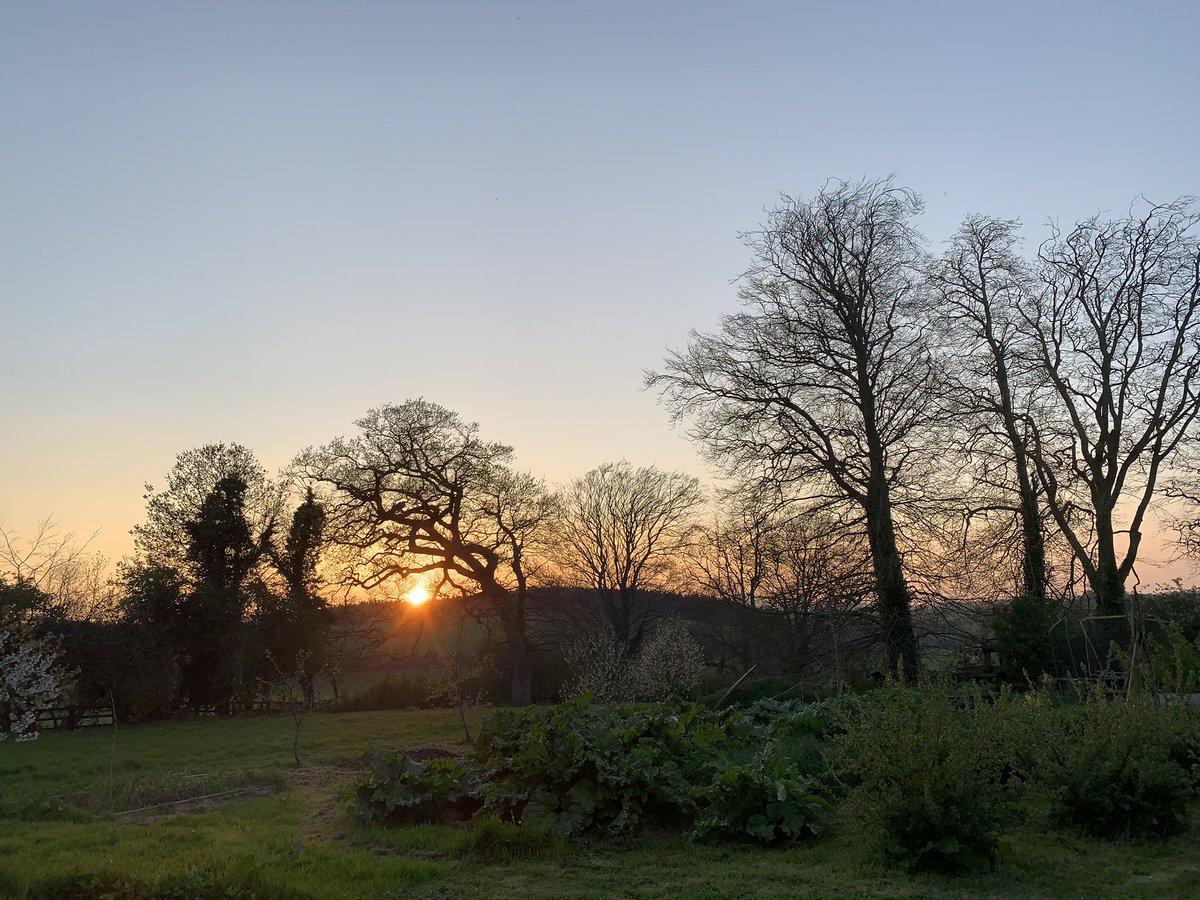 DrinkTheHedge's tweet photo. #Tipperarysunset https://t.co/rOCQVoWlMy