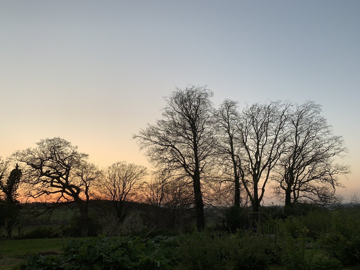 DrinkTheHedge's tweet photo. #Tipperarysunset https://t.co/rOCQVoWlMy