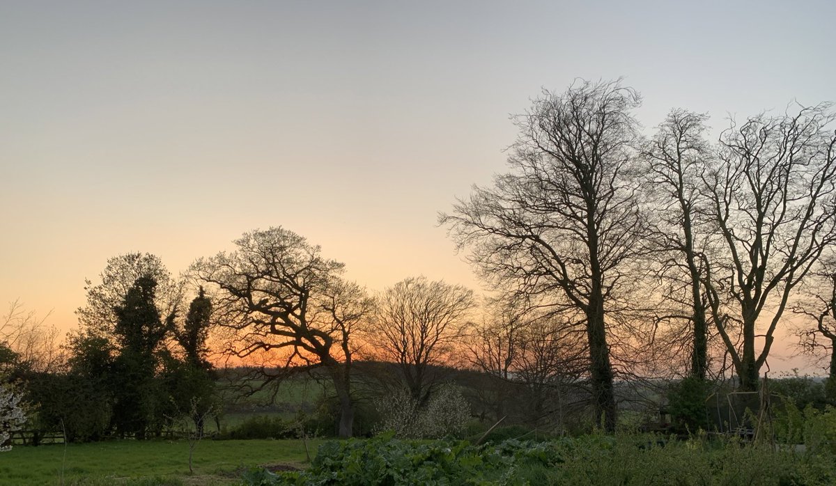 DrinkTheHedge's tweet photo. #Tipperarysunset https://t.co/rOCQVoWlMy