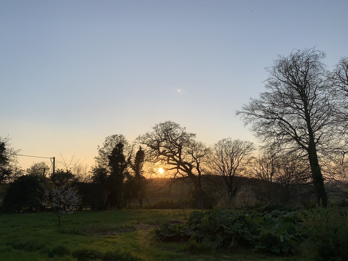 DrinkTheHedge's tweet photo. #Tipperarysunset https://t.co/rOCQVoWlMy