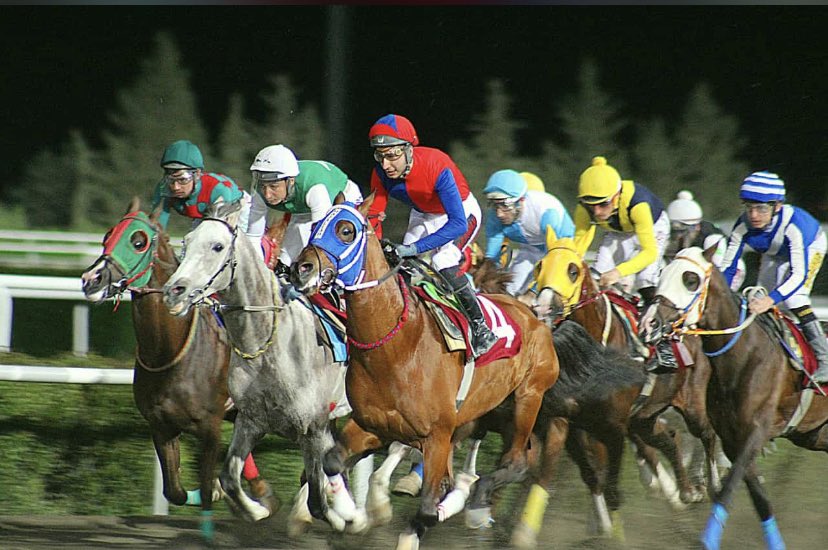 ASLAN OĞLUM (ONKUT)