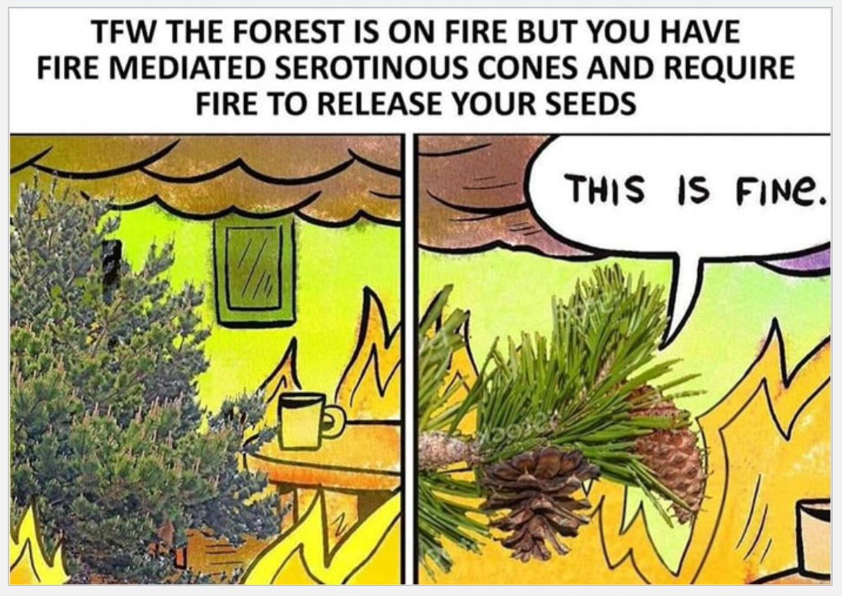 Spot on. By B. Caldwell